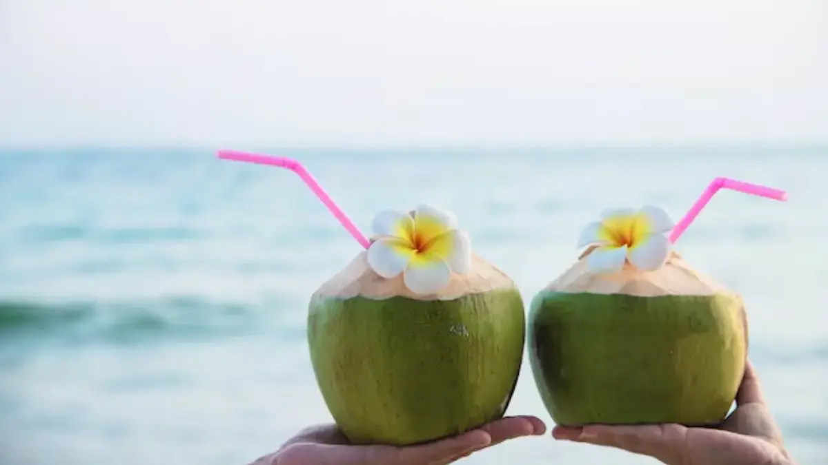 Apa Saja Kandungan Air Kelapa Muda? Inilah Daftar Nutrisi Lengkapnya Kesehatan