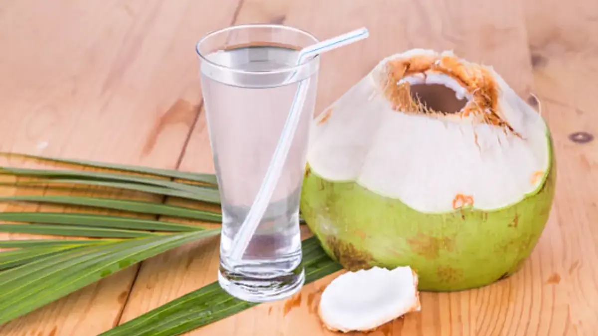 Punya Peran Penting! Inilah 3 Potensi Manfaat dari Air Kelapa untuk Kesehatan Ginjal Kesehatan