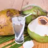 Kesehatan