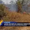 Lahan 200 Bata di Caracas Kuningan Terbakar