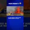 Si Jago Merah Lumat Habis Lahan Kering Di Talun