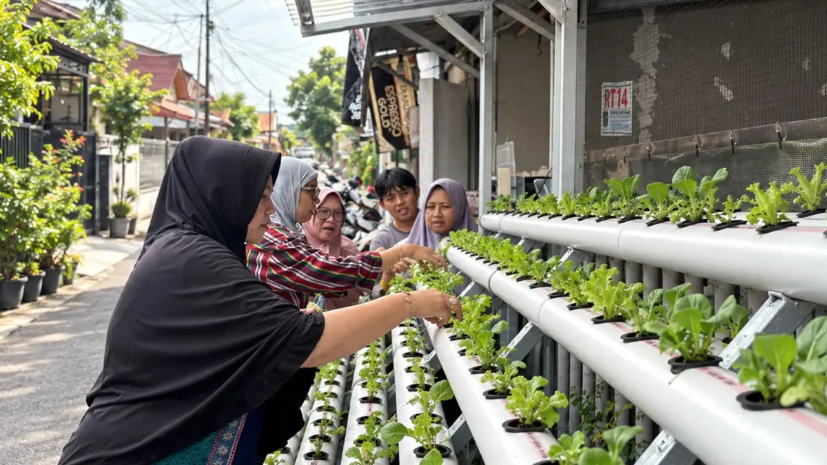 PNM Sulap Lorong Kota Menjadi Sumber Pangan Lewat Program Agro Urban Madani Nasabah PNM Mekaar menanam sayuran dengan sistem hidroponik di lorong kawasan padat penduduk.