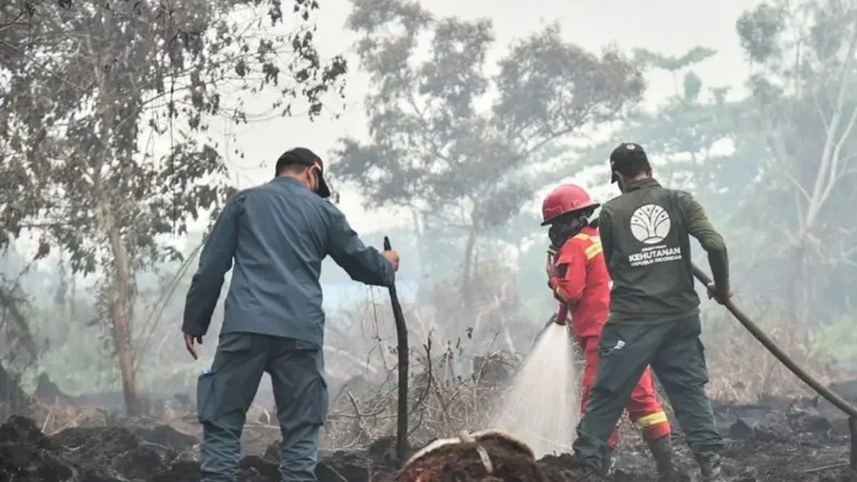 Karhutla Belum Padam Sejak Agustus, Pemerintah Kerahkan Satgas Darat dan Udara foto