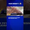 Ayam Petelur Jadi Mesin PAD Desa Jemaras Kidul