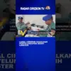 Lanal Cirebon Gagalkan Penyelundupan Puluhan Ribu Benih Lobster di Tol Cipali