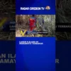 Lahan Ilalang di Indramayu Terbakar