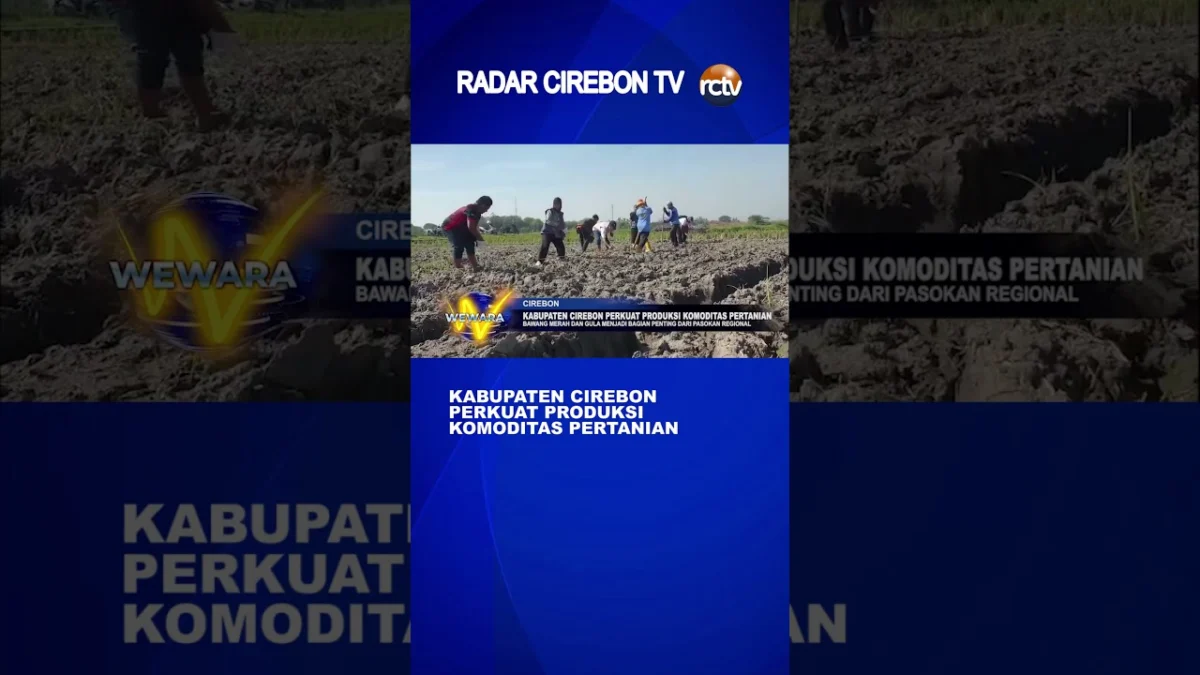 Kabupaten Cirebon Perkuat Produksi Komoditas Pertanian
