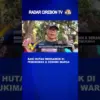 Babi Hutan Mengamuk di Pemukiman & Serang Warga